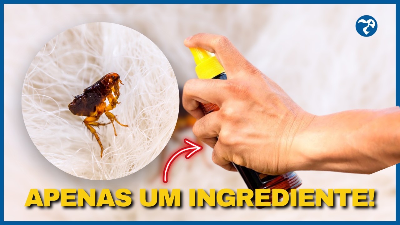 Anti Pulgas e Carrapato CASEIRO! RÁPIDO, FÁCIL E BARATO! ACABE Com as Pulgas do Cachorro e do Gato.