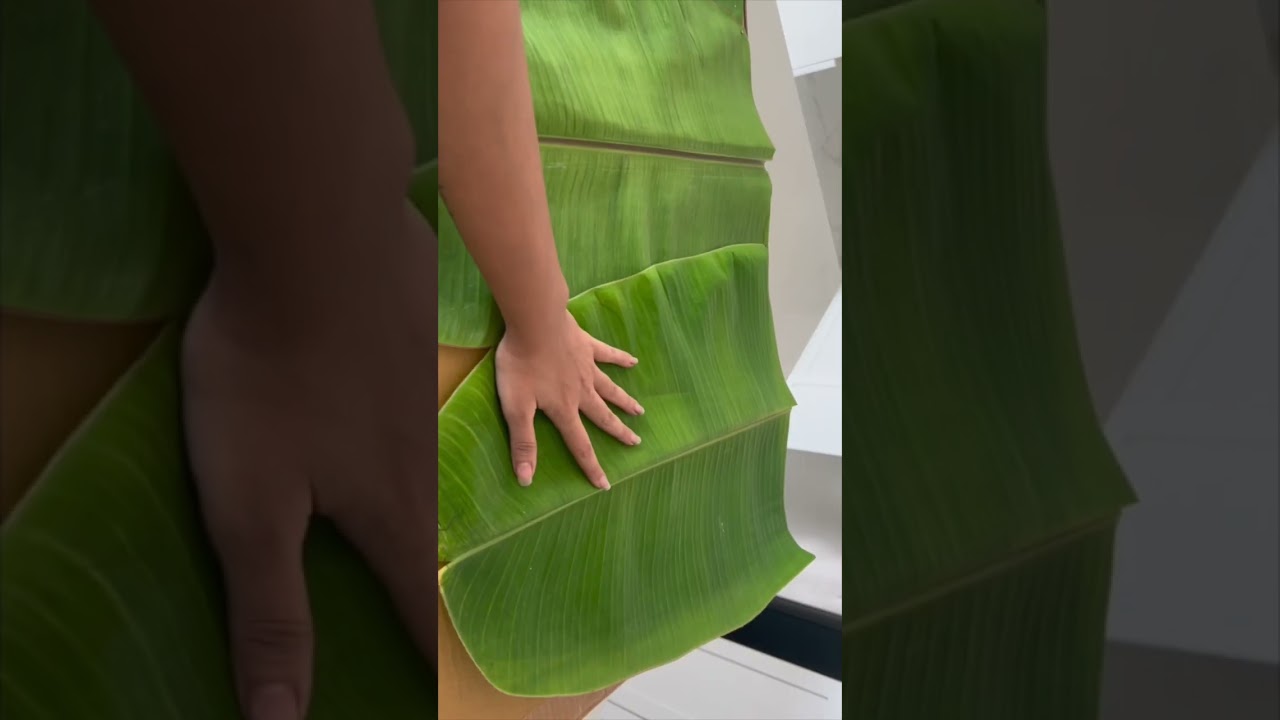 Banana leaf backdrop