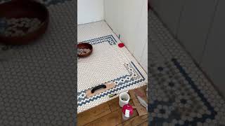 Famous Create A Hex Tile Border Pattern Profile