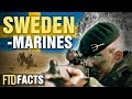 10+ Incredible Facts About The Sweden Marines (Amfibiekåren)