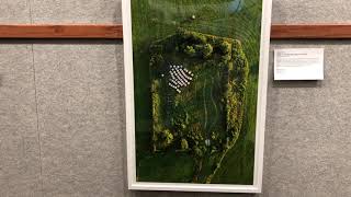 Exhibition Walkthrough with the Artist
