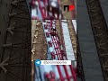 Гигантские стеклопакеты для павильона ВДНХ изготовила челябинская компания