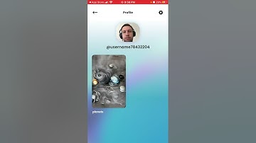 How to change profile picture in Wonder AI art generator app?