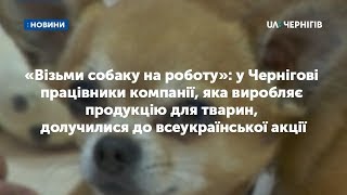 «Візьми собаку на роботу»: компанія у Чернігові долучилася до всеукраїнської акції «Візьми собаку на роботу»: компанія у Чернігові долучилася до всеукраїнської акції