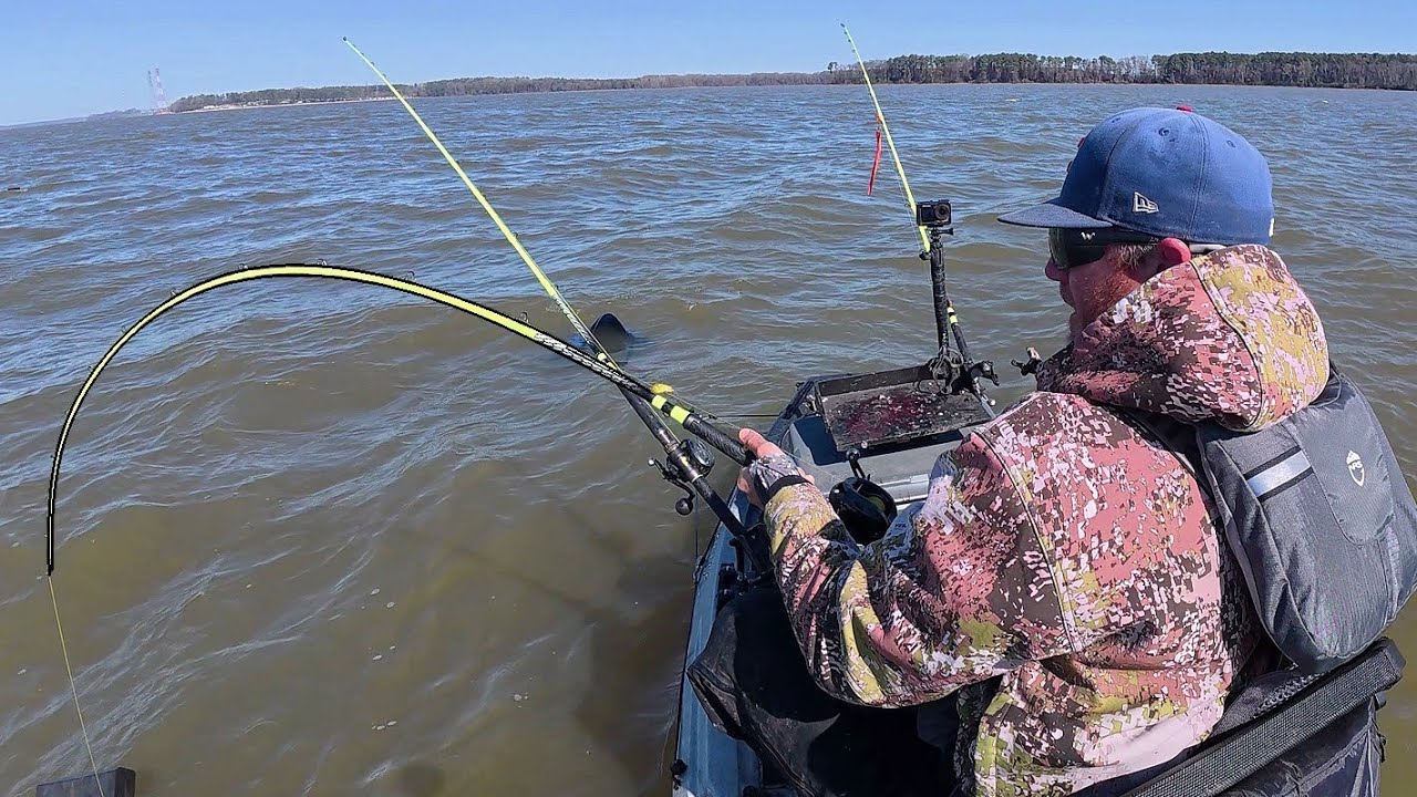 I Caught The BIGGEST FISH Of The Tournament!!! (Wheeler Lake Kayak Catfishing)