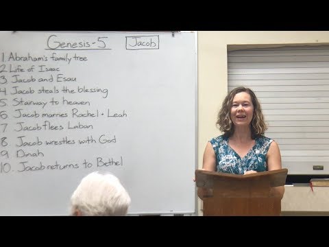 Studies In Genesis
