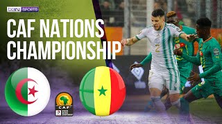 Algeria vs Senegal | AFRICAN NATIONS CHAMPIONSHIP 2022 HIGHLIGHTS | 2/4/2023 | beIN SPORTS USA