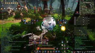 Bdo - Manshaums Grind Sample & Rotation Mystic