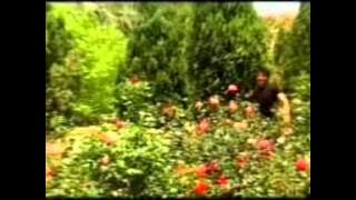 HD 2014 New Nagpuri Hot Song || Ek Najar Dekh Lebe De || Pankaj, Monika