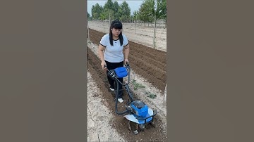 Multifunctional micro-tillage machine, rotary tillage, weeding, ditching, leveling #shorts part 665