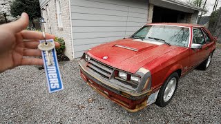 MY NEW 1982 FOXBODY MUSTANG GT!! (IT'S PERFECT)