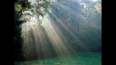 سورة الرحمان بصوت القارئ أستاذ زامري