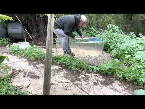 Costco cold frame 1500