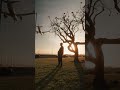 The POWER of COLOR GRADING!🔥 Slog3 cinematic colors