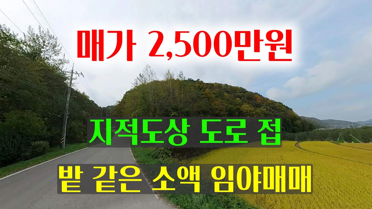 [1556][임야매매] 전기, 차량진입이 가능한 임야 매매, 손절하고 팝니다