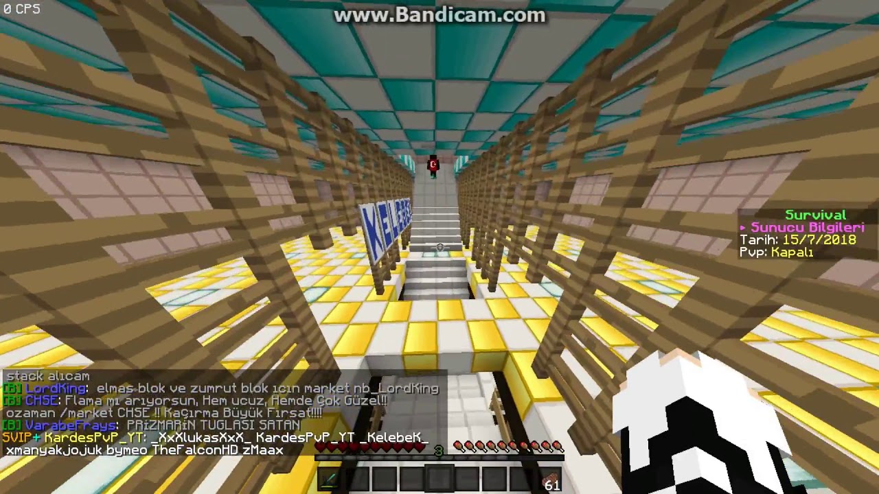 Survival Ev Tanıtımı + BayBatu Dostluk WS Leri