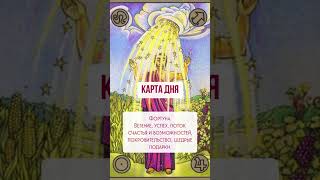 Карта дня на 27 ноября от Симболон. Ваш астролог Анна Куминская
