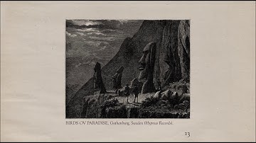 The Memoir - Page 23: Birds ov Paradise