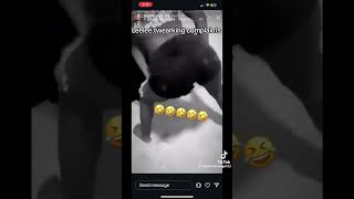 Leelee Twerk Vids Warning Bad Songs Are In This Video