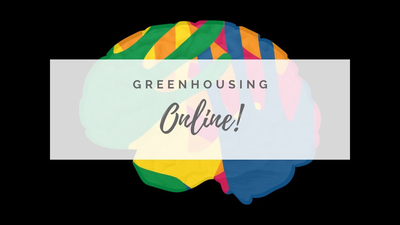 Online Learning with a Neural Lens - PLC May 2020