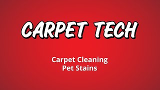 Pet Stain Treatment - Carpet Tech