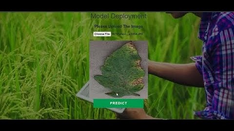 plant disease detection| Machine learning| Flask Model deployment