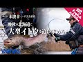 釣り士・本波幸一に完全密着 晩秋の北海道に大型イトウを追い求める。【VARIVASトラウト攻略最前線 vol.8】★