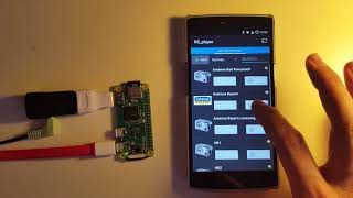 Transform Raspberry PI to cast audio and use an Android phone as a remote with RS_player screenshot 4