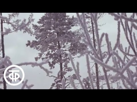 Братск (1977)