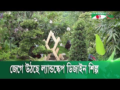 ভিডিও: ম্যানস্কেপ পরিষেবা কি?