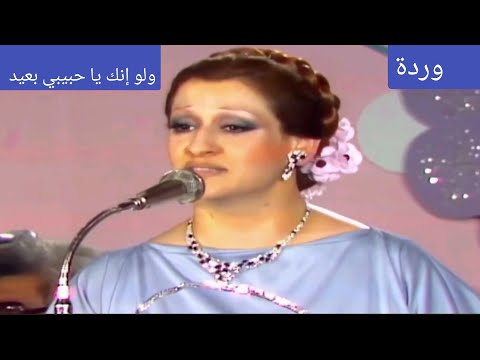 وردة ولو إنك يا حبيبي بعيد مهرجان من الموسيقى والطرب