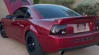 The new 2004 redfire terminator cobra