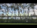 what i've been up to • september activities • short clips | brisbane