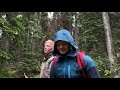 Falconry: Climbing a goshawk nest