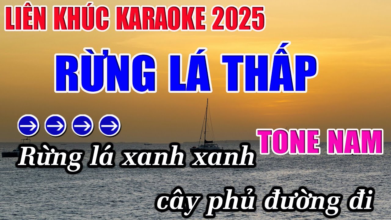 Liên Khúc Rừng Lá Thấp Karaoke Tone Nam Karaoke 9999 - Beat Mới