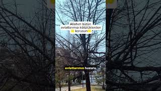 Allah Bütün Evlatlarımızı Kötülüklerden Korusun Şfet