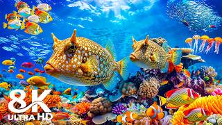 A Breathtaking Showcase of Life Beneath the Sea in 8K HDR | Dolby Vision™