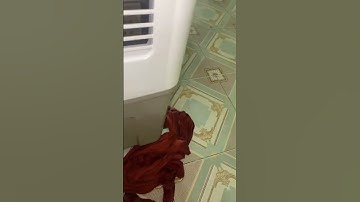 Quạt lỗi chảy nước ra ngoài