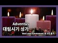 잔잔한 대림 성가 스트리밍-Veni veni Emmanuel 외 3곡