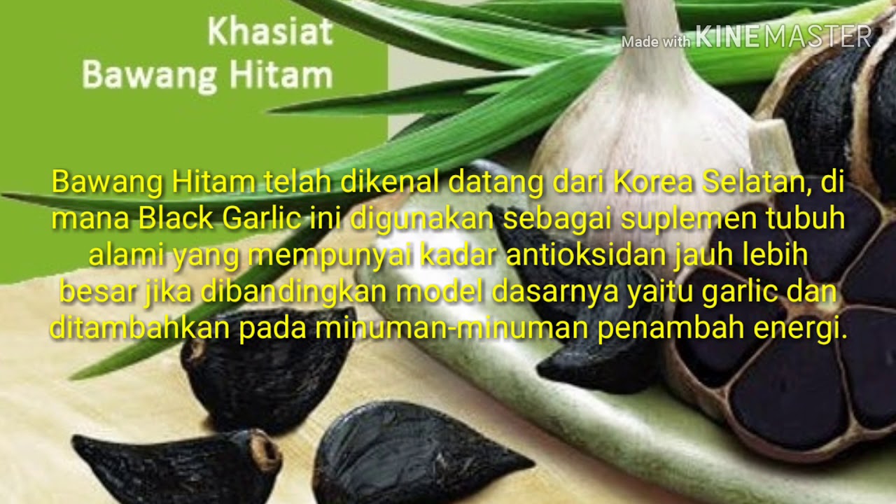 Khasiat black garlic YouTube
