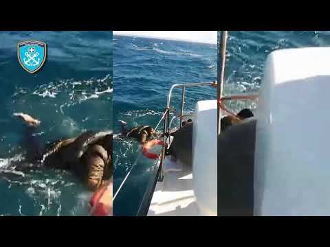 2o βίντεο αναφορικά με Ευρεία επιχείρηση έρευνας-διάσωσης στη θαλάσσια περιοχή νοτιοανατολικά ν.Χίου