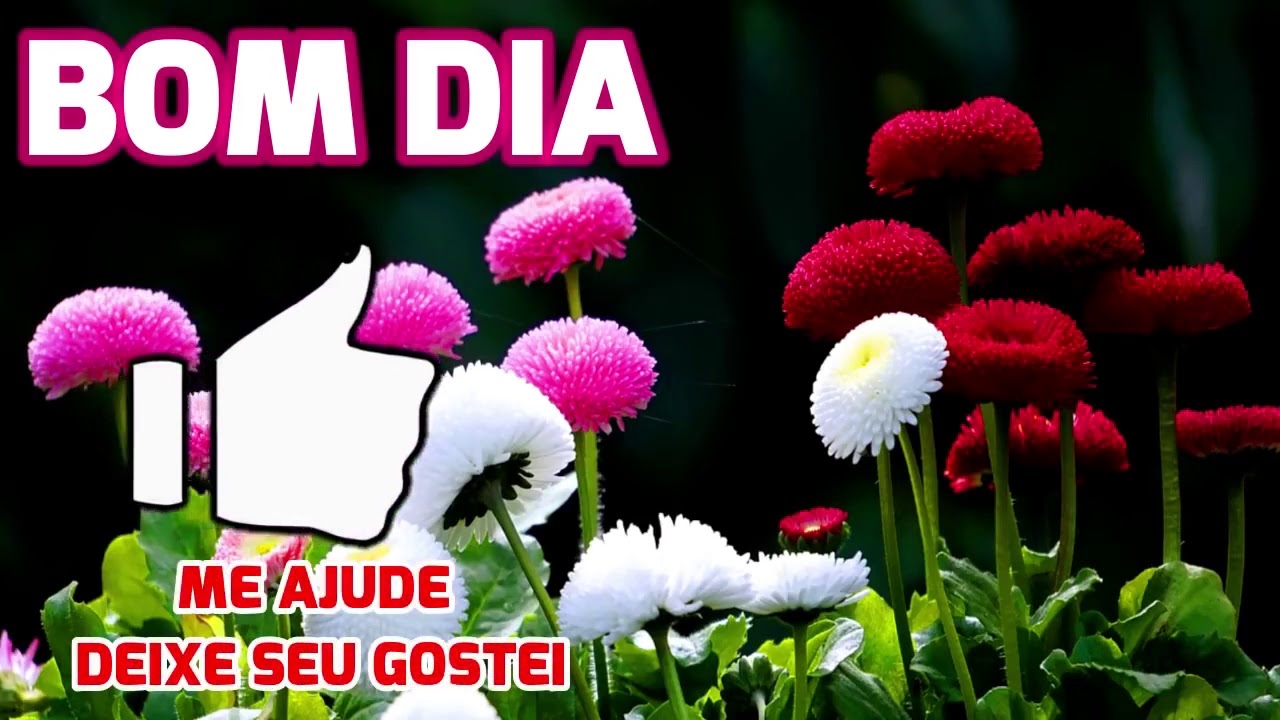 A vida é Boa - YouTube