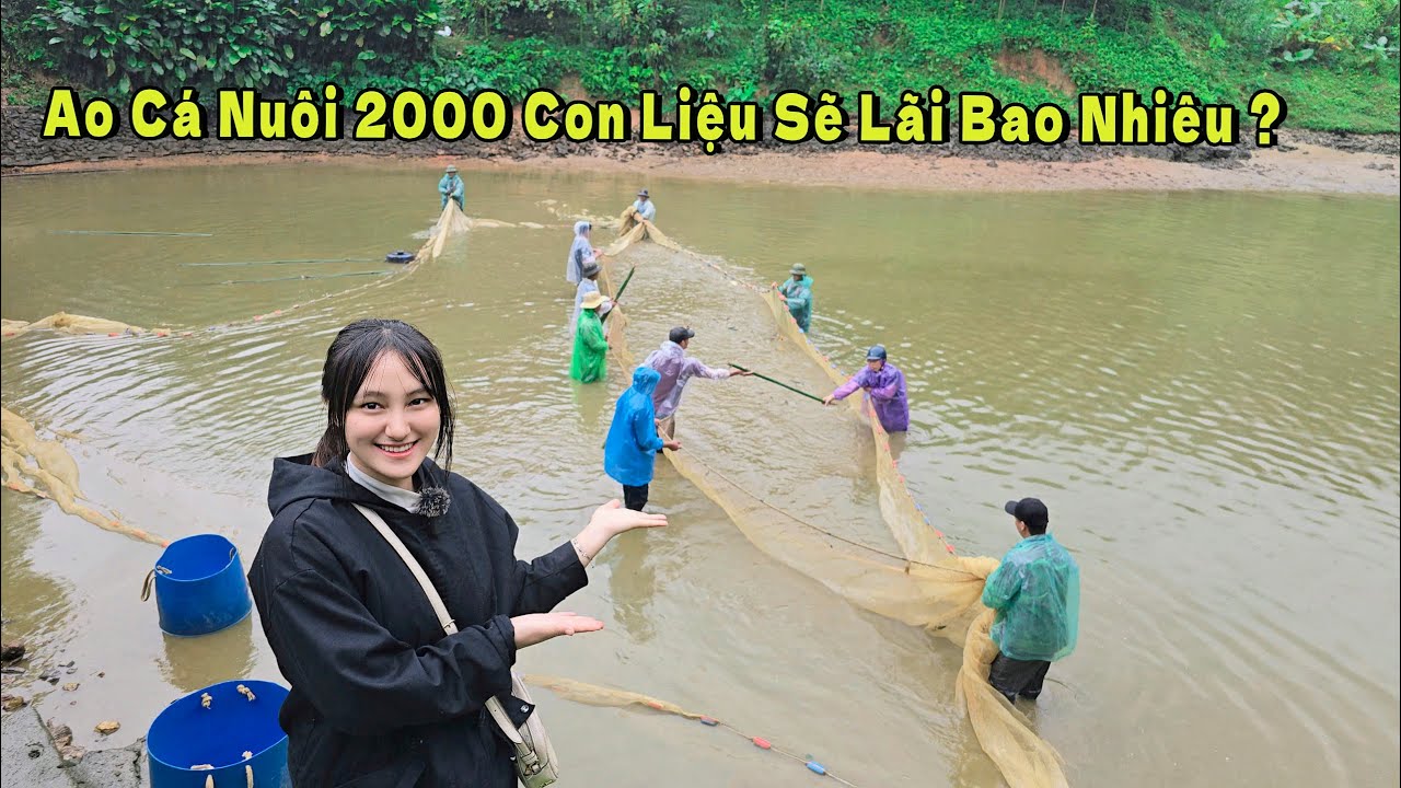 Ao Cá Nuôi 2000 Con Liệu Sẽ Được Lãi Bao Nhiêu | Song Nhi TV