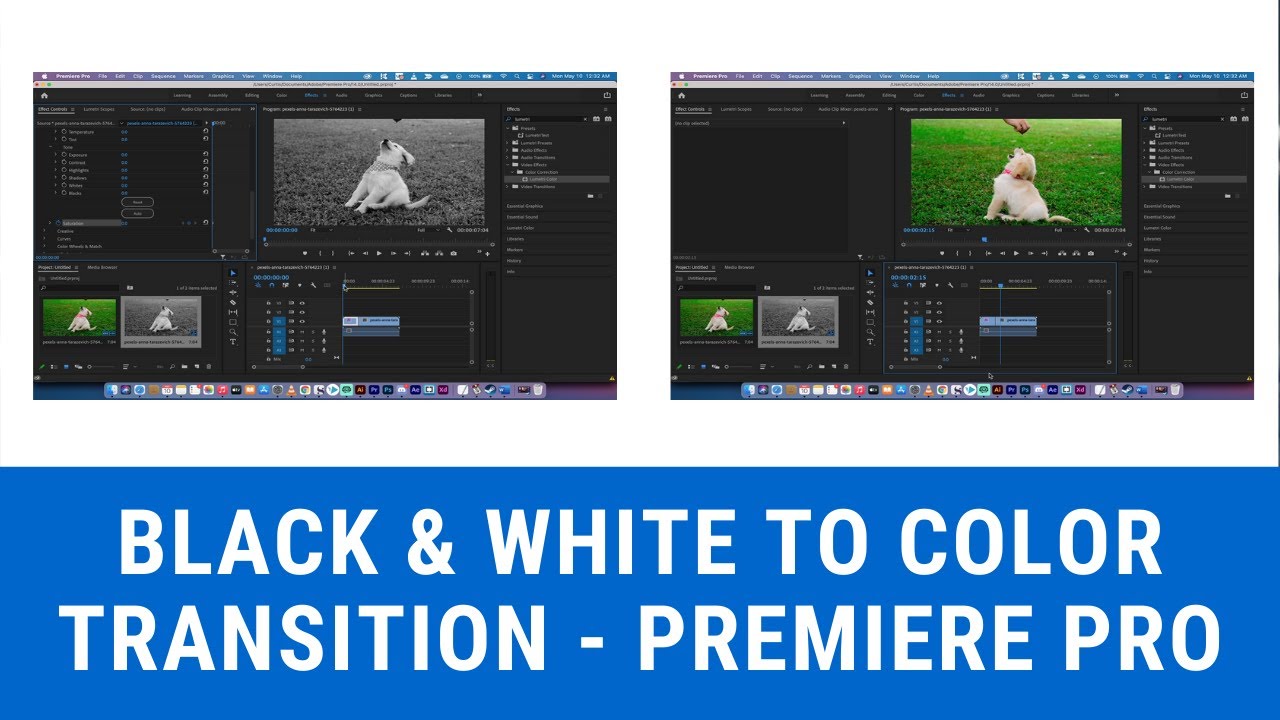 adobe premiere transition black and white to color adobe premiere transition black and white to color