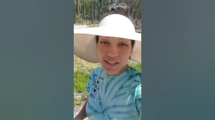 Filling 14 Raised Bed Garden Boxes 🌱