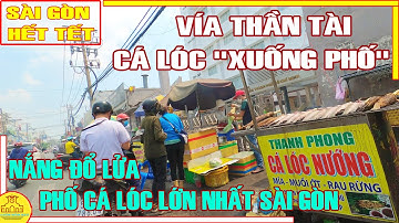 Sài Gòn NẮNG ĐỔ LỬA / CÁ LÓC XUỐNG PHỐ Ngày VÍA THẦN TÀI /Phố Cá Lóc LỚN NHẤT Sài Gòn Tân Kỳ Tân Quý