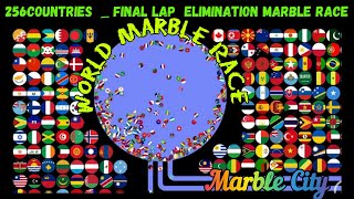 World Marble Race/Which country will be ranked first? #algodoo #turkey