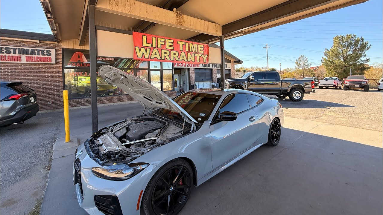 UN VENADO DESTROZÓ MI FORD…  😱🦌