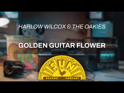 Golden Guitar Flower | Harlow Wilcox & The Oakies (Official Audio)