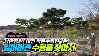 작은수목원 영상